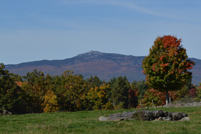 Mt. Monadnock - Witt Hill Rd - Mountain and Foliage - Closeup - Fall